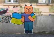В Одессе появились граффити с патриотическими котами