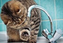 В Одессе перебои с водоснабжением: что случилось