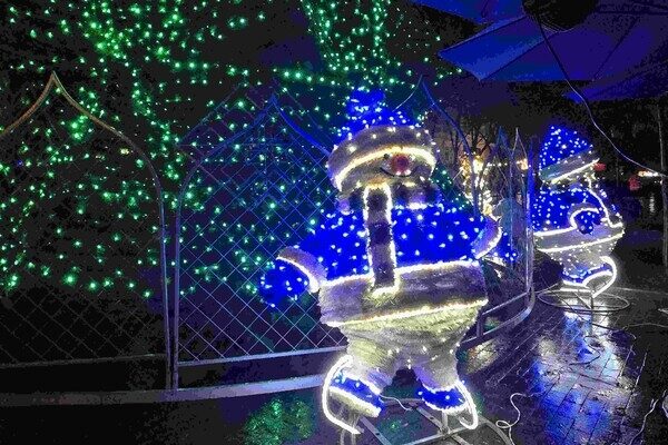 В Одессе открыли главную елку города: фотоотчет В Одессе открыли главную елку города: фотоотчет