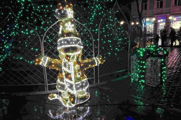 В Одессе открыли главную елку города: фотоотчет В Одессе открыли главную елку города: фотоотчет