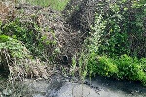 В Одессе обнаружили сбросы канализации в Черноморскую балку В Одессе обнаружили сбросы канализации в Черноморскую балку