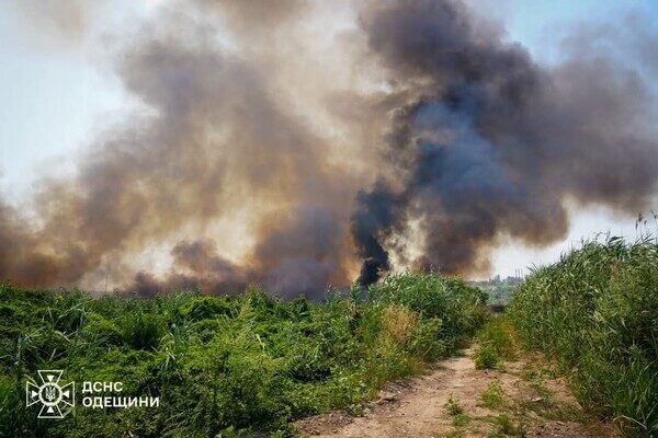 В Одессе чувствовался сильный запах гари: что произошло В Одессе чувствовался сильный запах гари: что произошло
