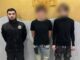 В Одессе подростки сняли ролик об изнасиловании кота: им грозит административная ответственность